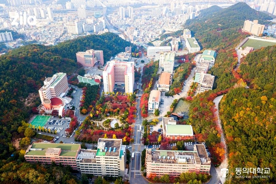 Dong-eui University